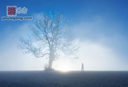 几分钟学习高情商回话技巧-游乐宫